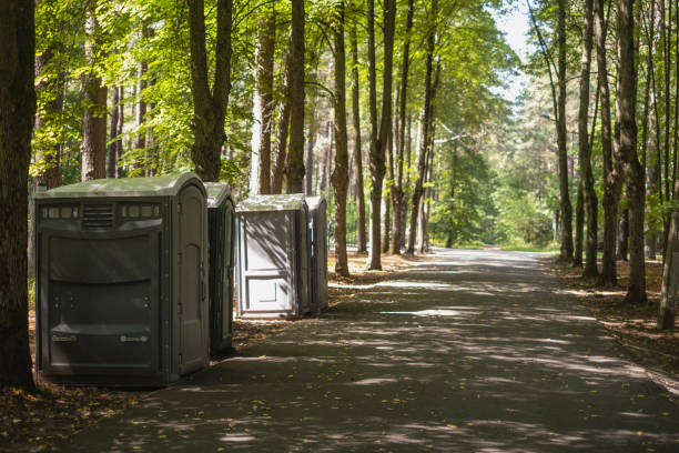 Best Best portable toilet rental  in Frazee, MN